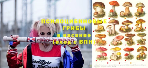 каннабис Алзамай