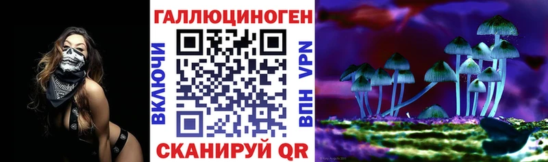 магазин    Анива  блэк спрут ссылки  Псилоцибиновые грибы мицелий 